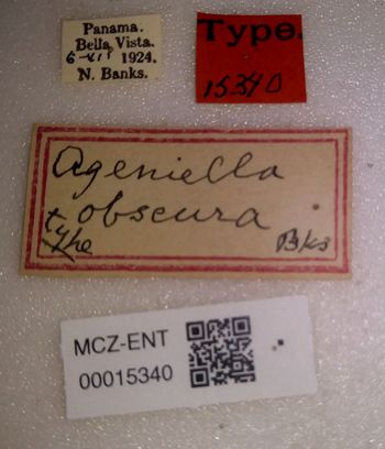 Media type: image;   Entomology 15340 Aspect: labels